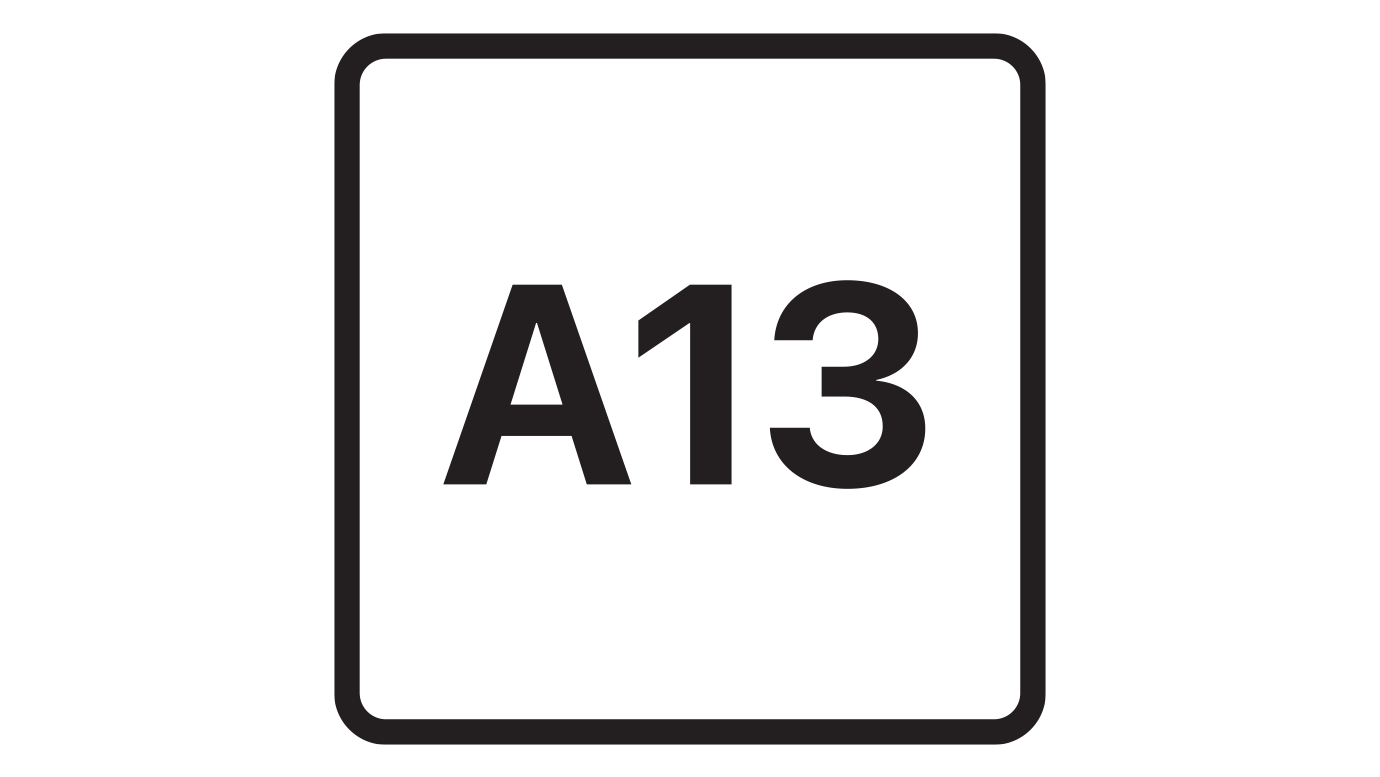 A13 Bionic